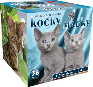 Luxusní pexeso v krabičce - Kočky