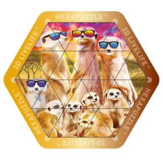 Magnetické hexapuzzle s 3D efektem - (v plechové krabičce)