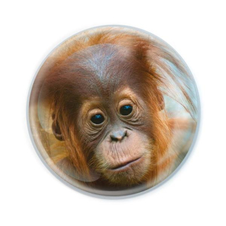 Masivní kulatý magnet - Orangutan