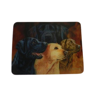 Magnet s 3D efektem - Labradoři