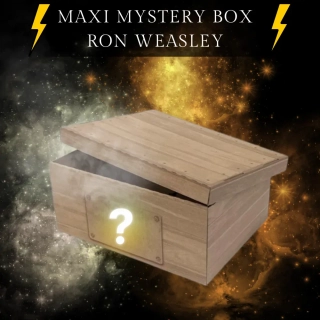 Harry Potter MAXI mystery box - Téma Ron Weasley