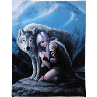 Malý obraz na plátně - Vlčí ochránce od Anne Stokes (19x25 cm)