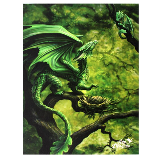 Malý obraz na plátně - Lesní drak od Anne Stokes (19x25 cm)