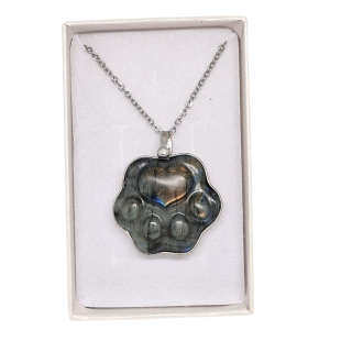 Cínovaný labradorit - Tlapka přátelství (ochranný talisman)